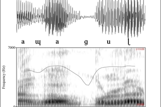 Spectrogram and waveform