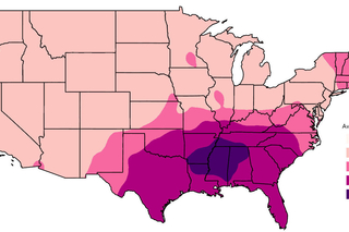 A heat map across the contiguous United States, with the darkest areas in the South.