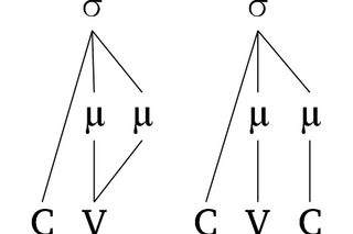 Moraic structures for CVV and CVC syllables
