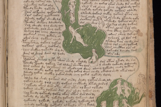 Voynich Manuscript