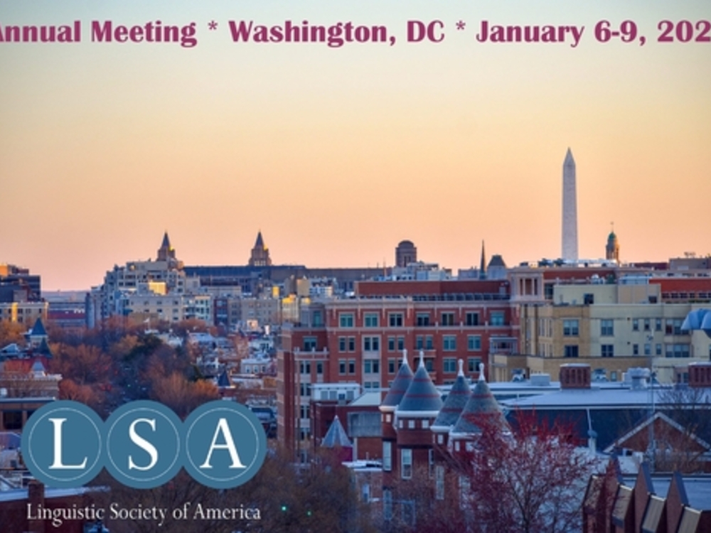 LSA Logo over photograph of Washington, DC.