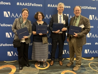 AAAS Fellowship