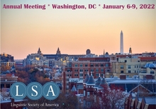 LSA Logo over photograph of Washington, DC.